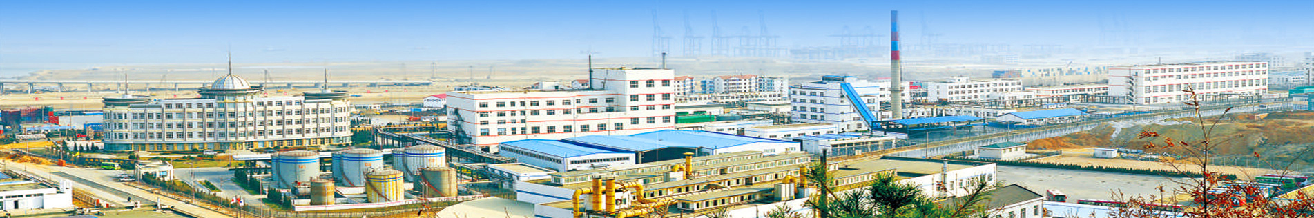 聯(lián)系我們 > 聯(lián)系方式